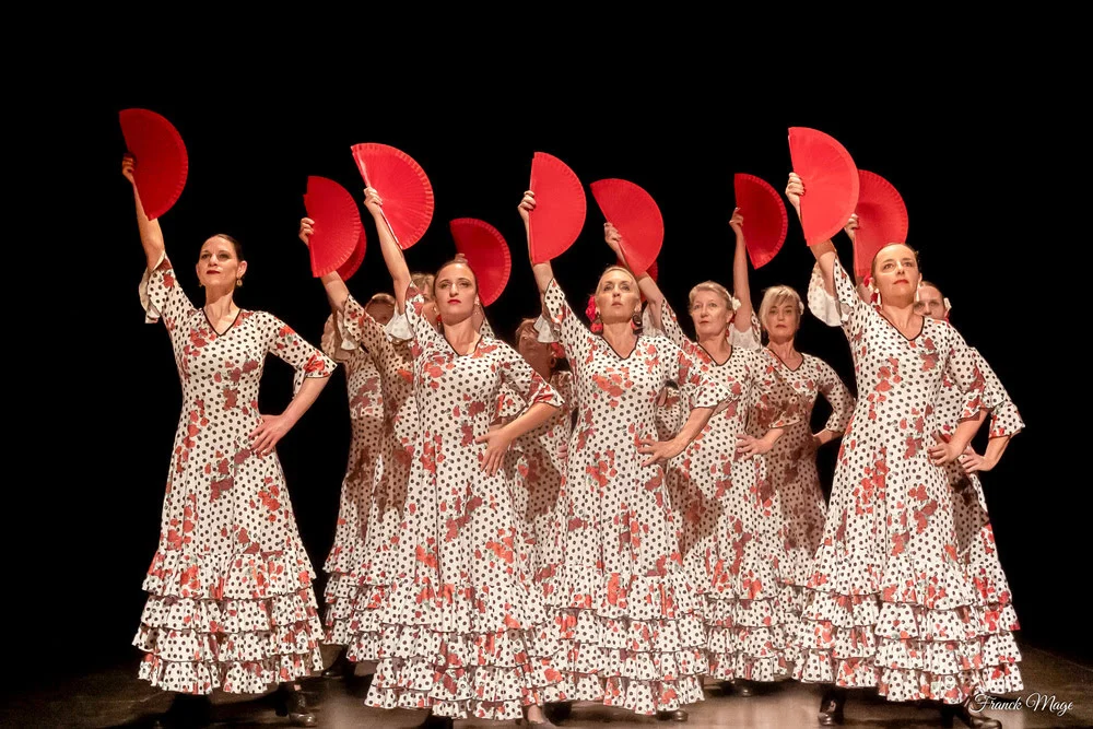 expression cours flamenco landes